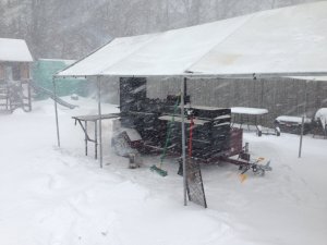 IMG_1141[1].JPG