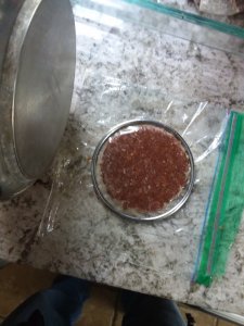 20180106_101032[1].jpg
