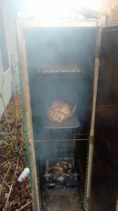 IMG_20171123_073149514.jpg