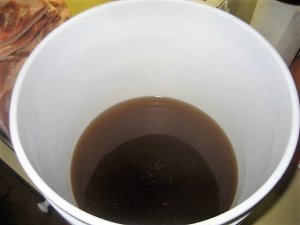 IMG_8526.JPG