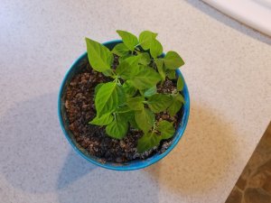 20180123_102139.jpg