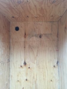 image10.jpeg