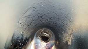 20180203_163905.jpg 20180203_163905.jpg