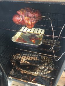 IMG_2872.jpg