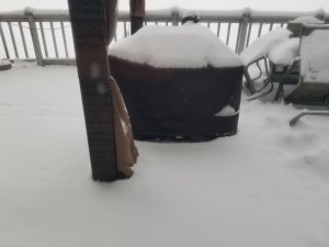 20180210_071708.jpg