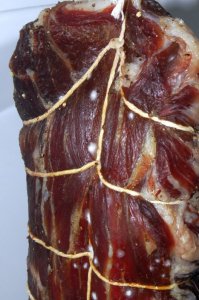 Chamber J.jpg Chamber J.jpg