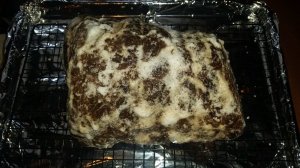 20180224_163154.jpg