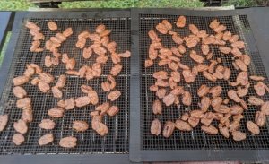 pecans.jpg