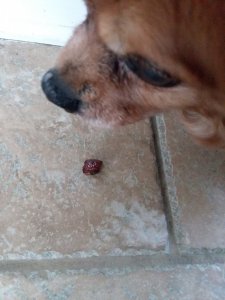 20180225_132730.jpg