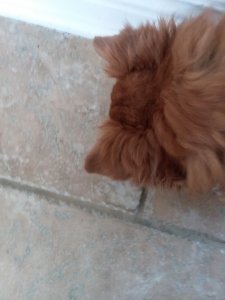 20180225_132716.jpg