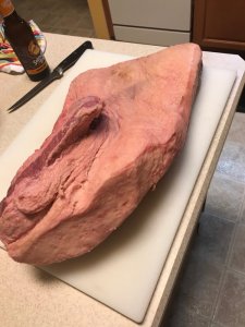 IMG_0740.jpg