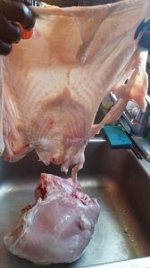 20180307_172039.jpg