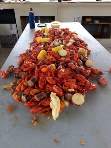 IMG_20180228_144317868.jpg