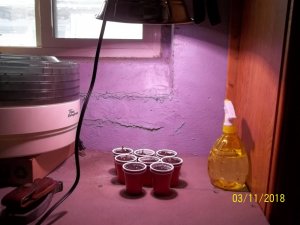 100_6719.JPG