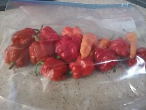 Peppers.jpg