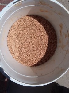 20180215_134729 (1).jpg