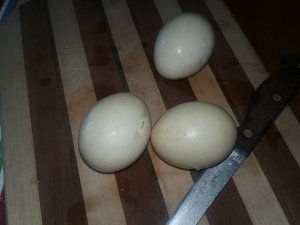 egg2.jpg