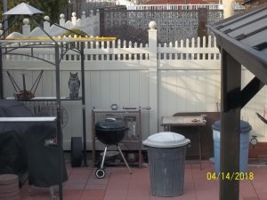 100_6811.JPG