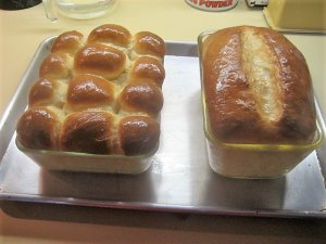 IMG_8818.JPG