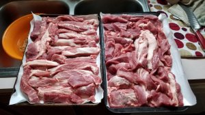 Polish Sausage 1.jpg