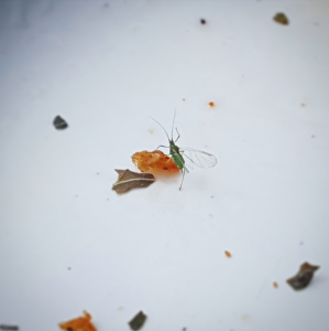 20180503_140541.png