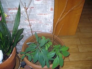 IMG_8829.JPG