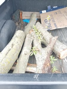 20180506_120621.jpg