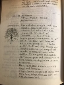 52422F0F-ACA8-412F-9D39-9A248DAE29EC.jpeg