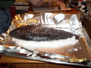 100_6893.JPG 100_6893.JPG