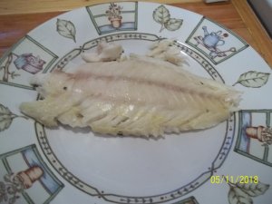 100_6906.JPG 100_6906.JPG