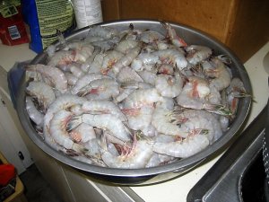IMG_8841.JPG