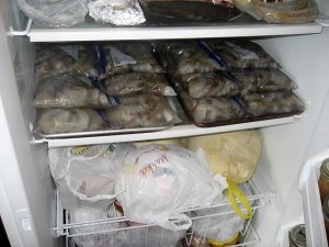 IMG_8845.JPG