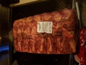 rib.jpg