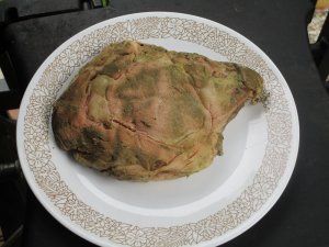 IMG_2150.jpg