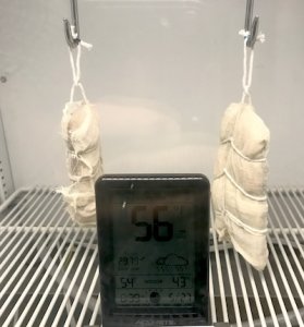43_humid_during_comp.jpg 43_humid_during_comp.jpg