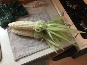 IMG_2542.JPG