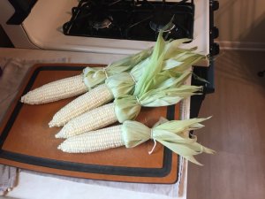 IMG_2543.JPG