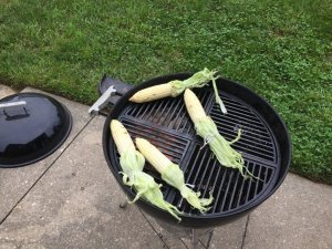IMG_2555.JPG IMG_2555.JPG