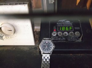 Smoker even temps 028.JPG