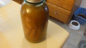 20180602_180735.jpg