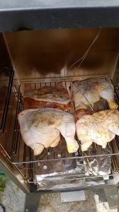 BrinedRaw (1753 x 986).jpg