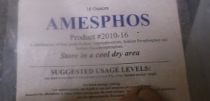 2 STPP by Ames.JPG 2 STPP by Ames.JPG