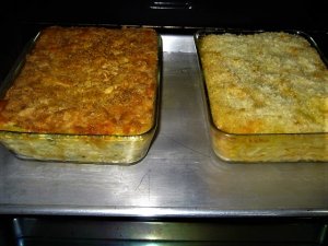 IMG_8958.JPG IMG_8958.JPG