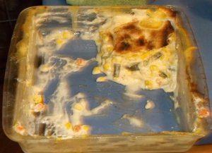 Chicken pot pie 002.JPG