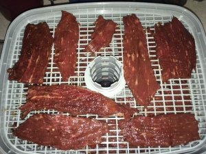 Jerky.jpg