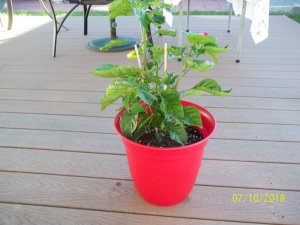 100_7149.JPG