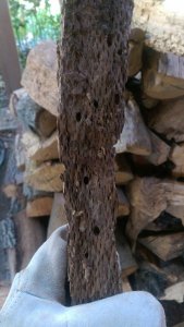 IMAG0952.jpg