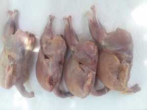 20180721_113415.jpg
