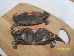 100_7166.JPG