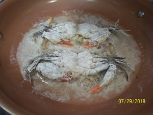 100_7168.JPG